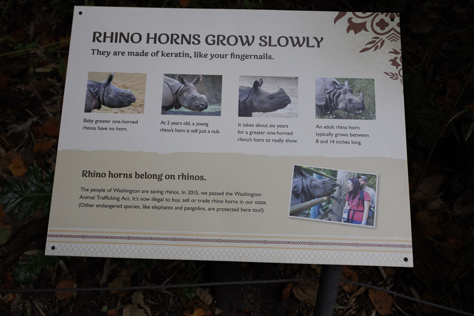 Woodland Park Zoo — photo 73